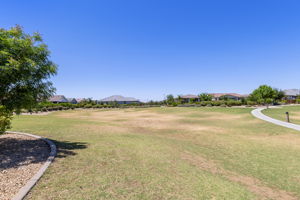  Photo 92