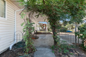  Photo 48