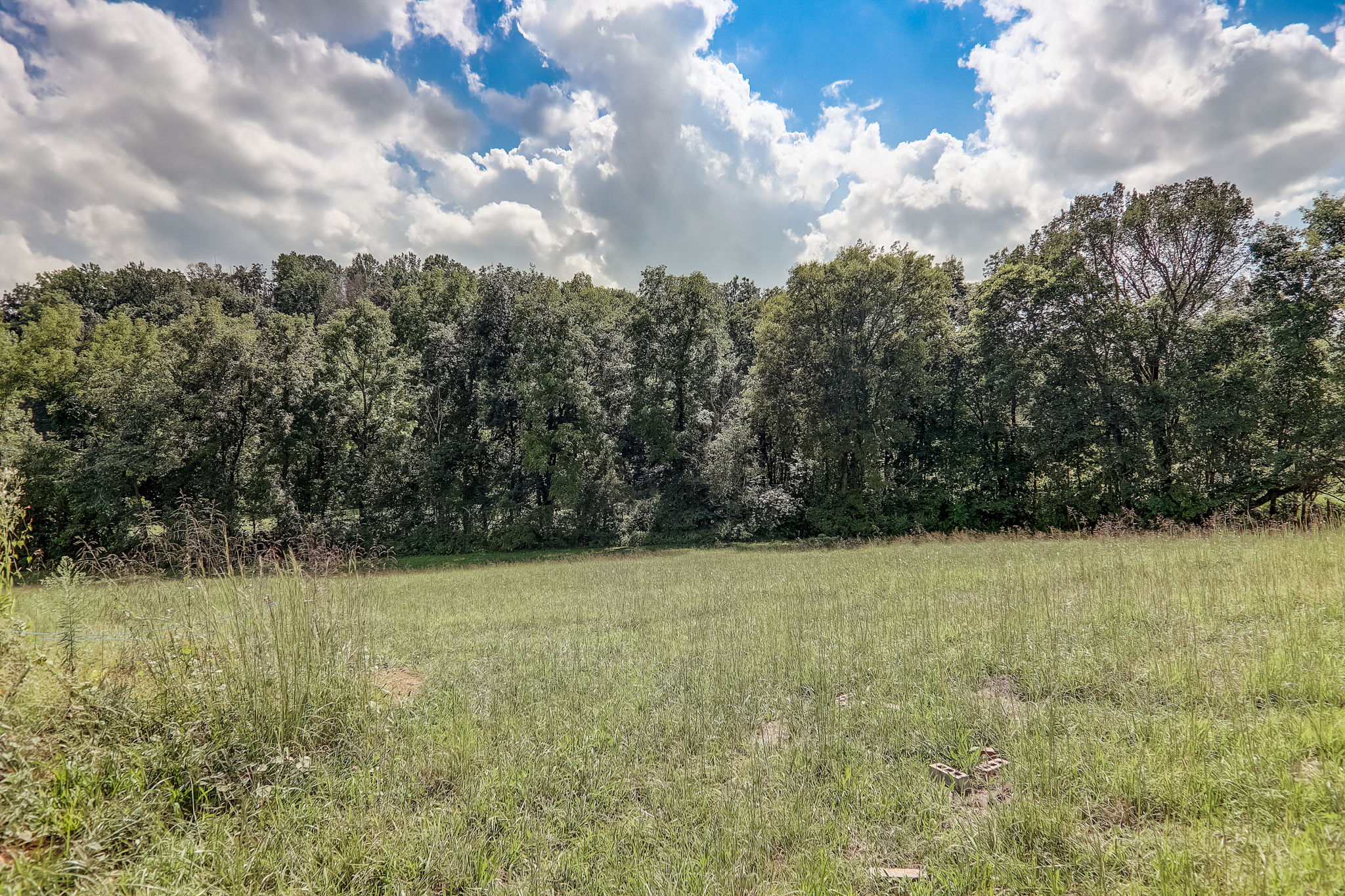 Buttercup Flds Rd-035