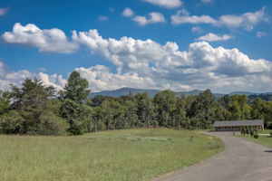 Buttercup Flds Rd-042