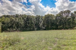 Buttercup Flds Rd-035