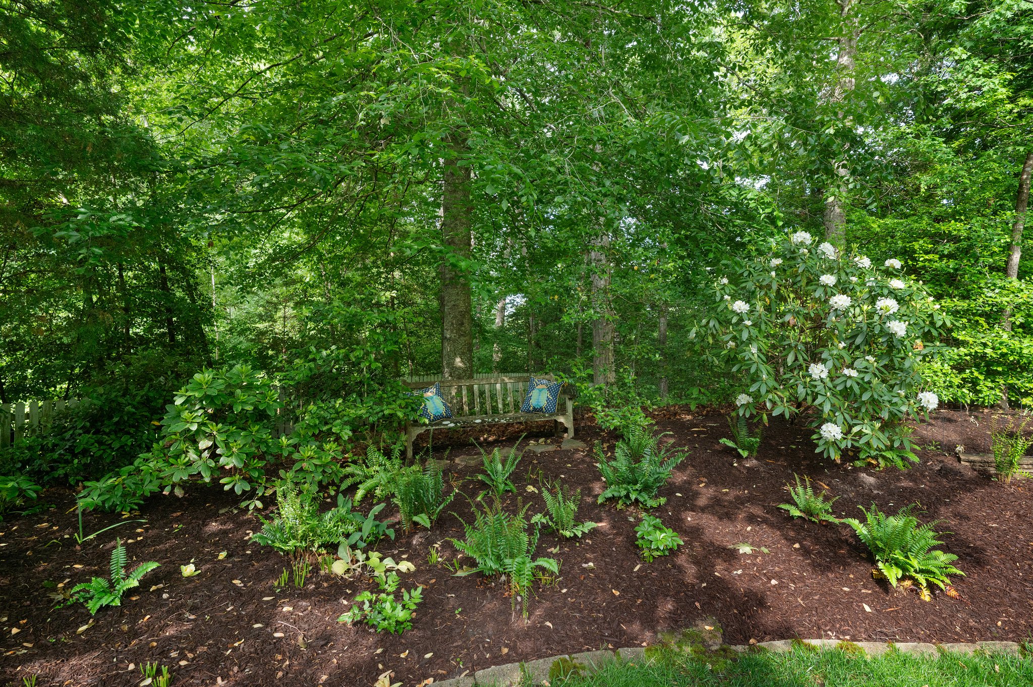  Photo 41