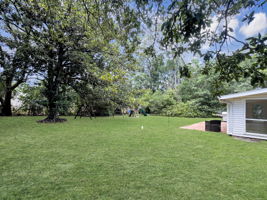  Photo 24
