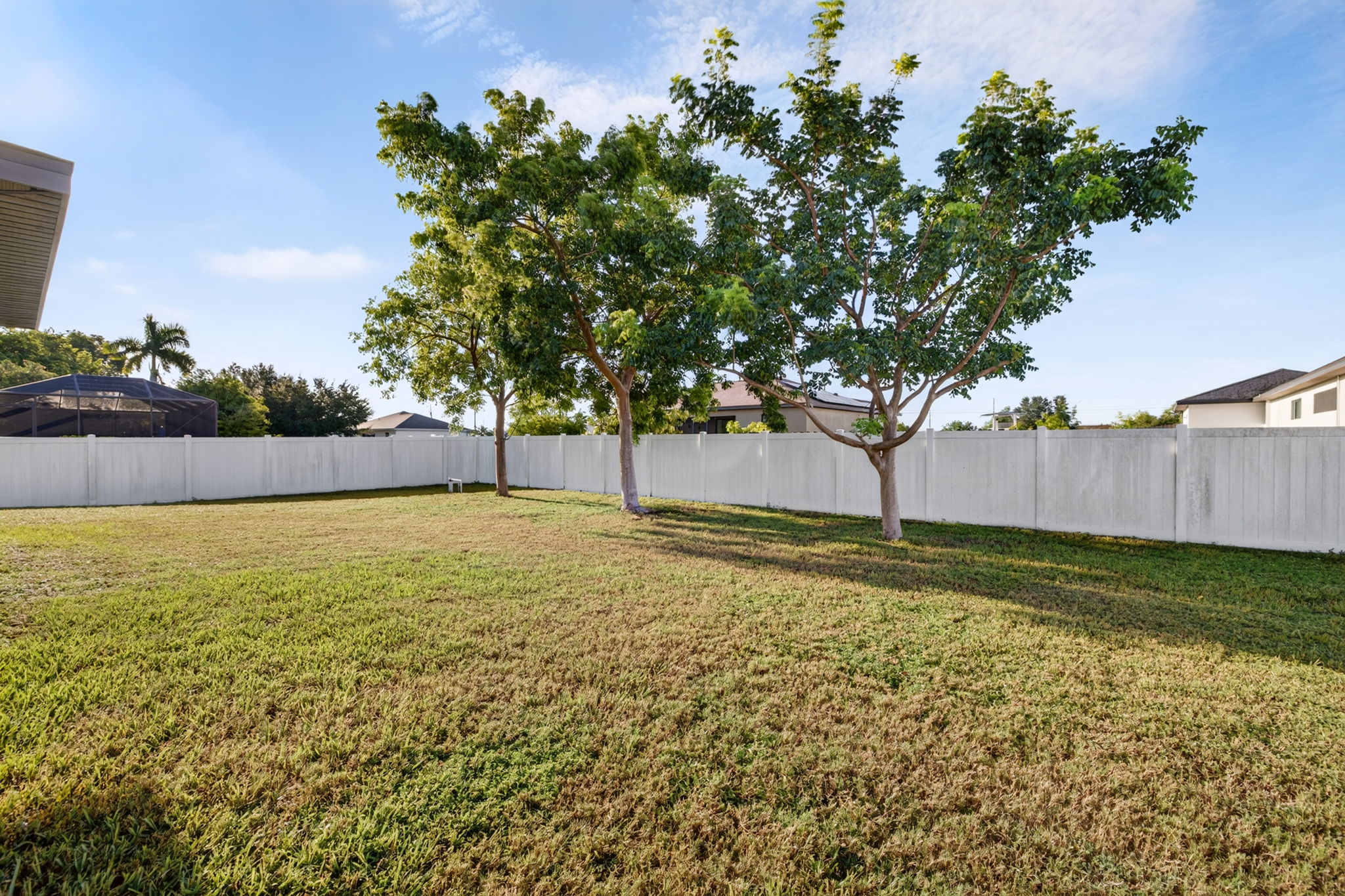 Backyard