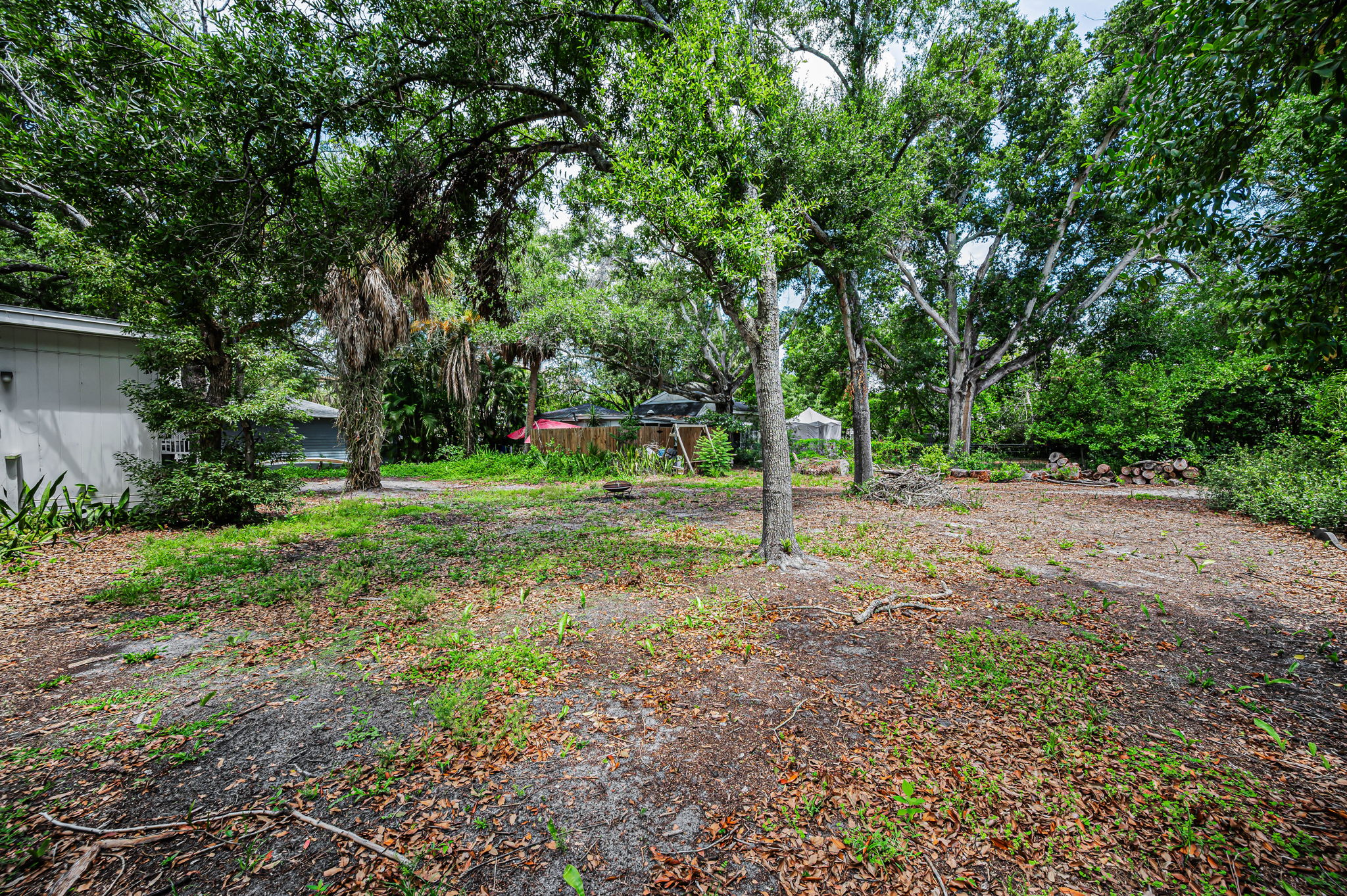 Backyard1