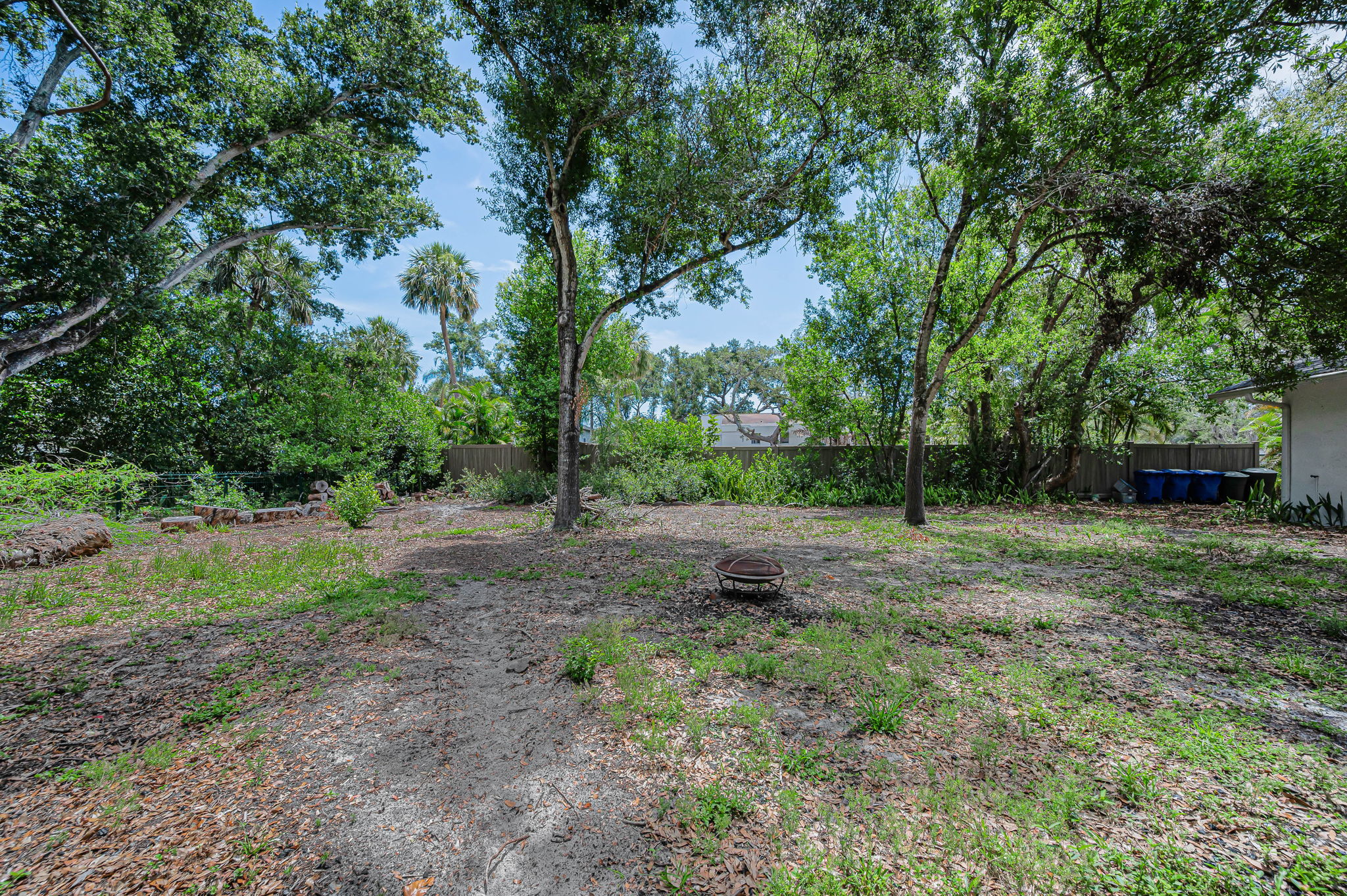 Backyard3