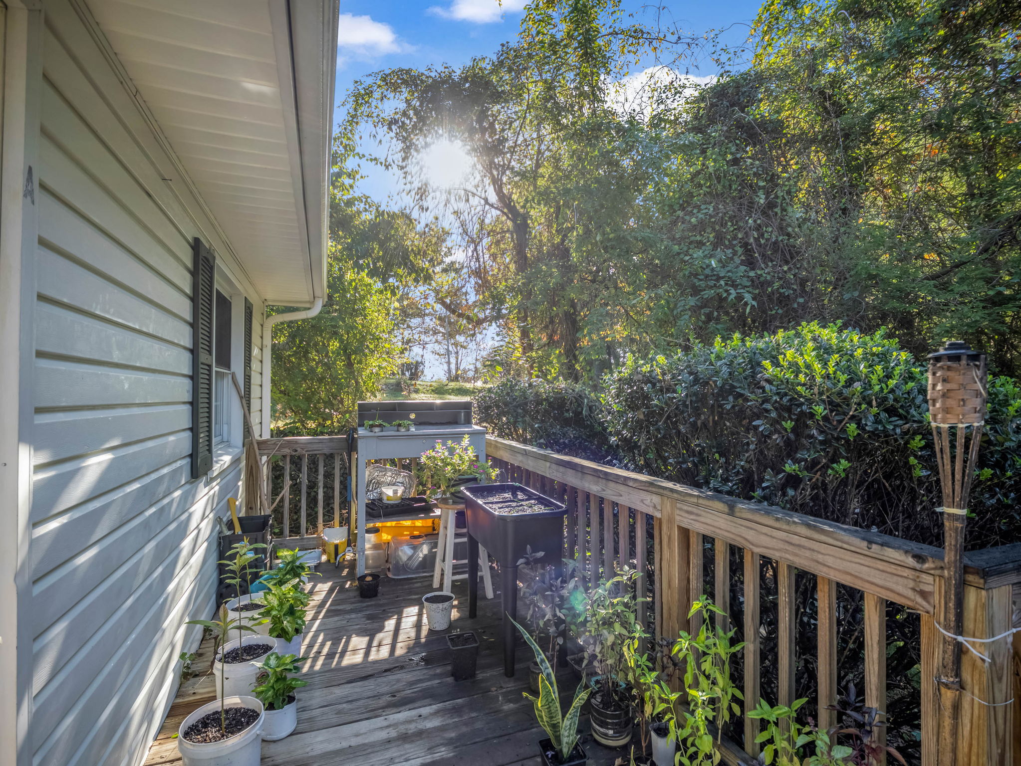 228-Stoney-Mountain-Rd-Hendersonville-NC-12