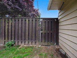  Photo 37
