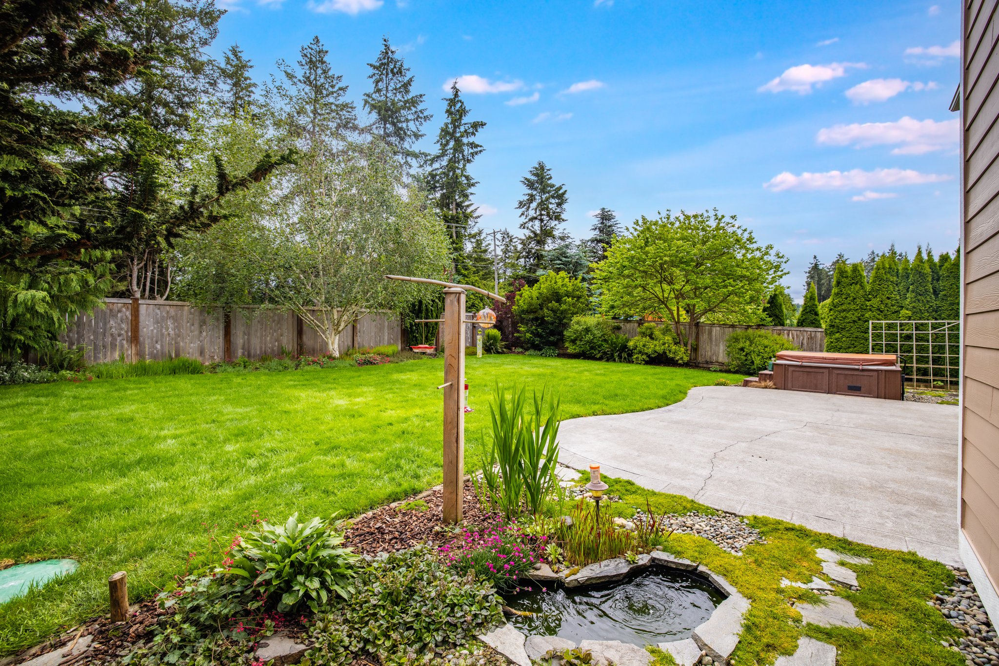 Pond feature in back yard