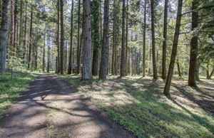  Photo 37