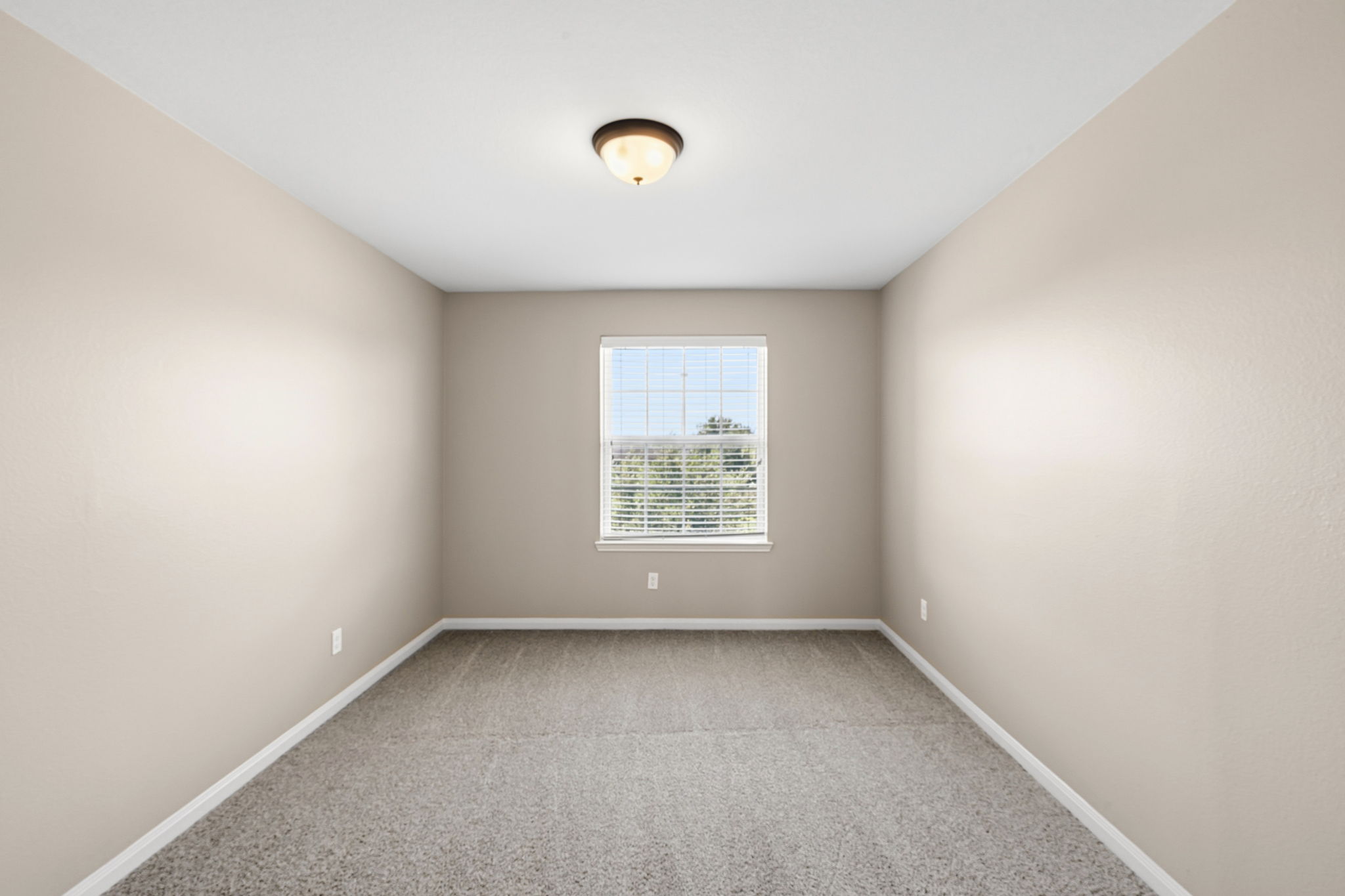  Photo 62