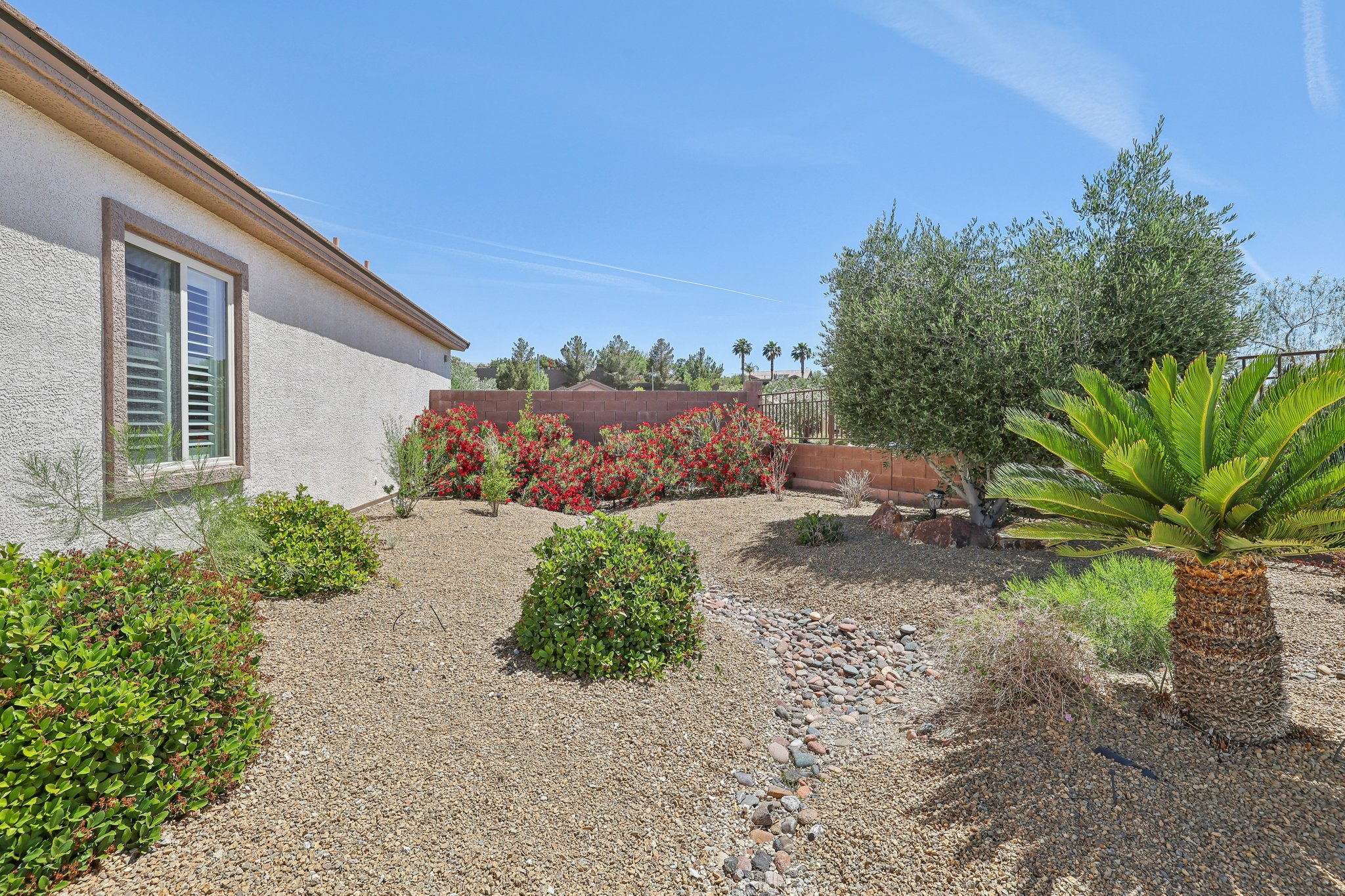 Carambala Ln-2405-031.jpg