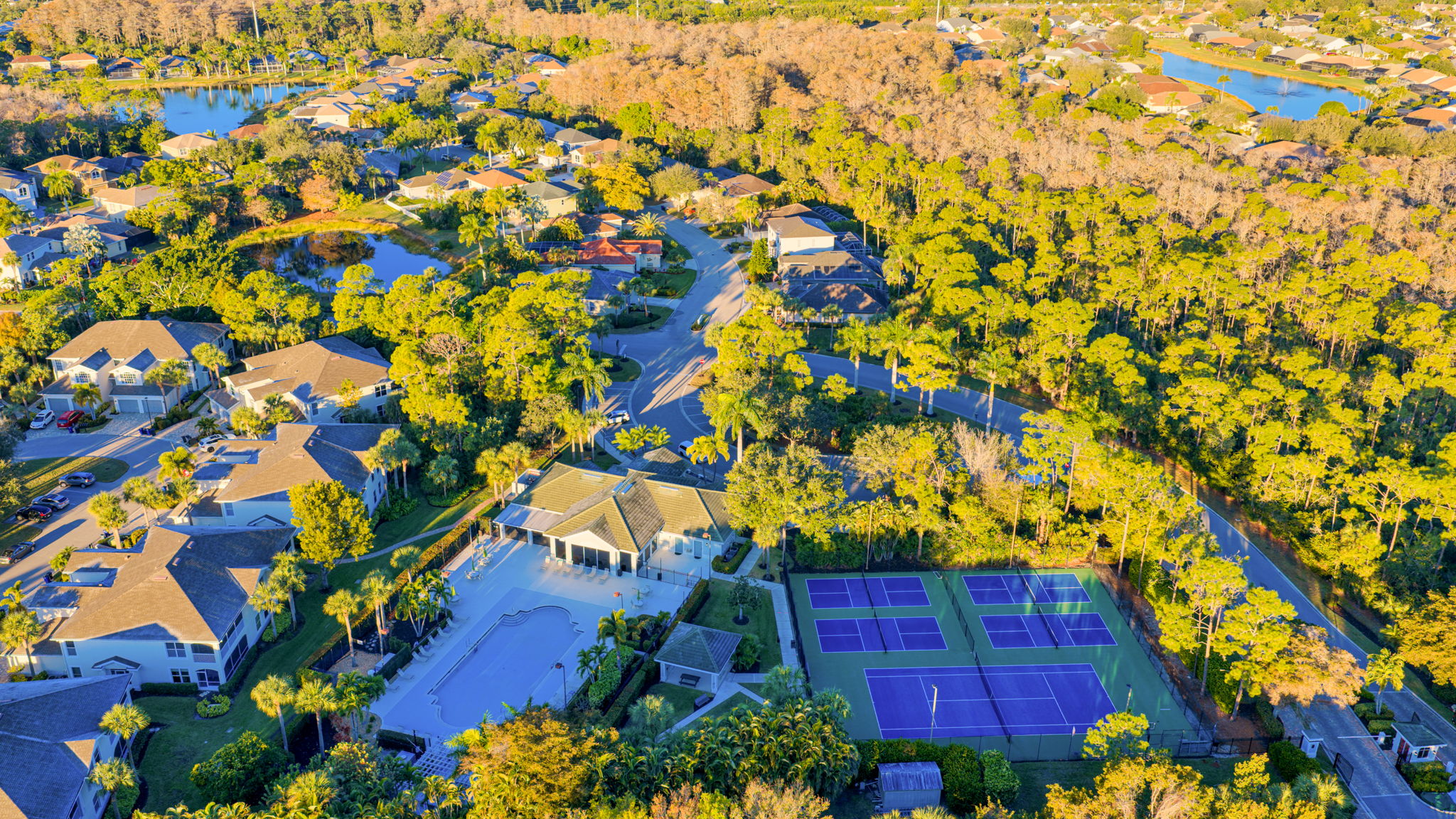 Aerial-7