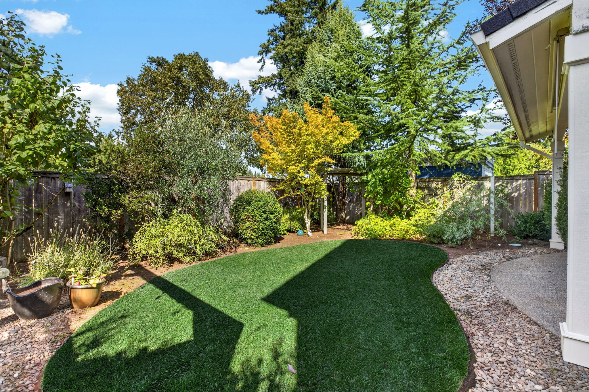 Backyard