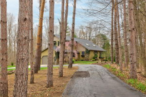  Photo 0