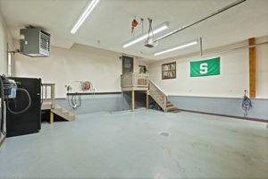  Photo 50