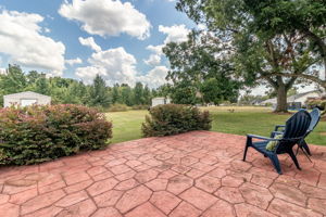 Back Patio