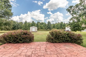 Back Patio