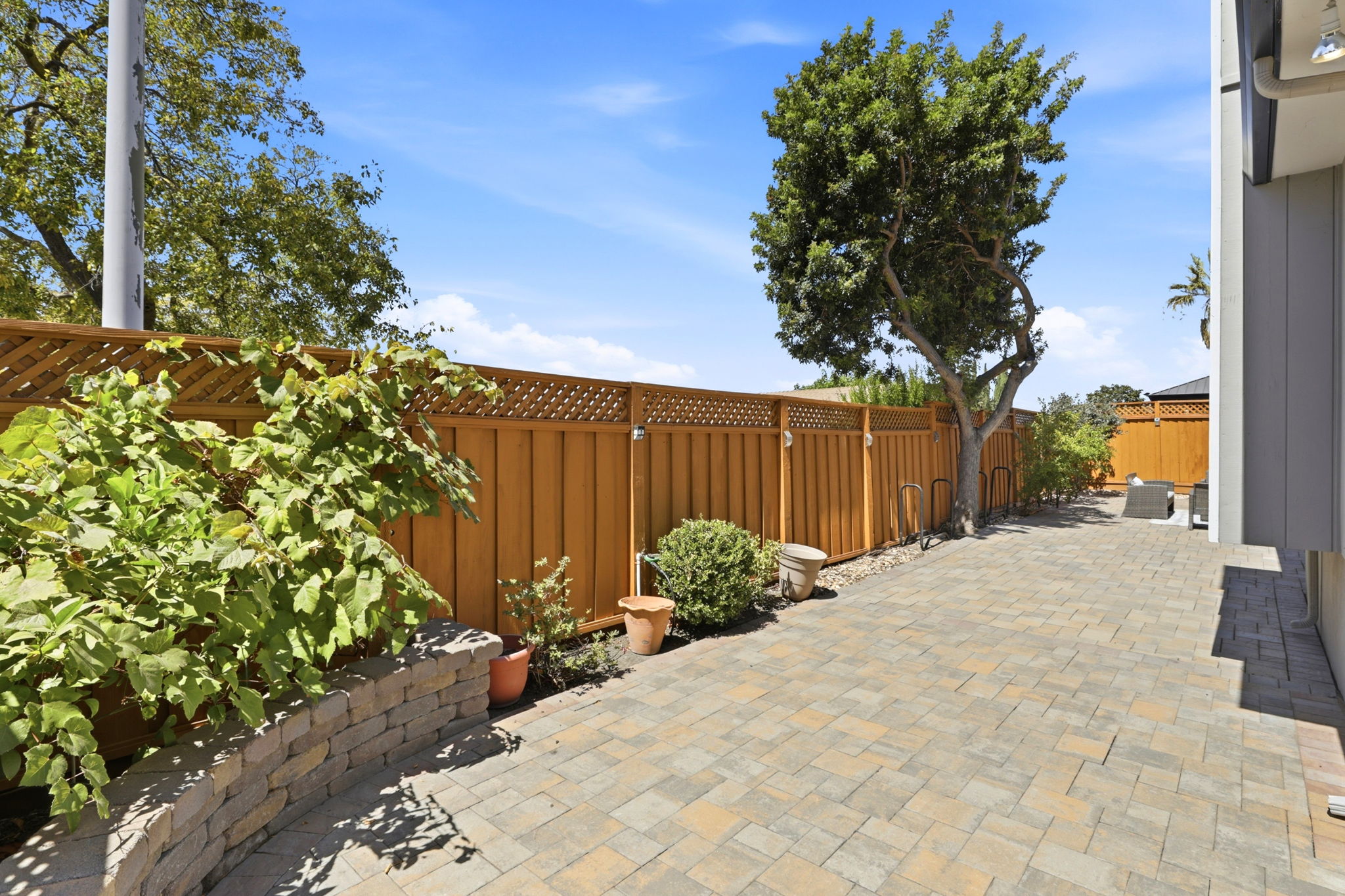 Side Yard