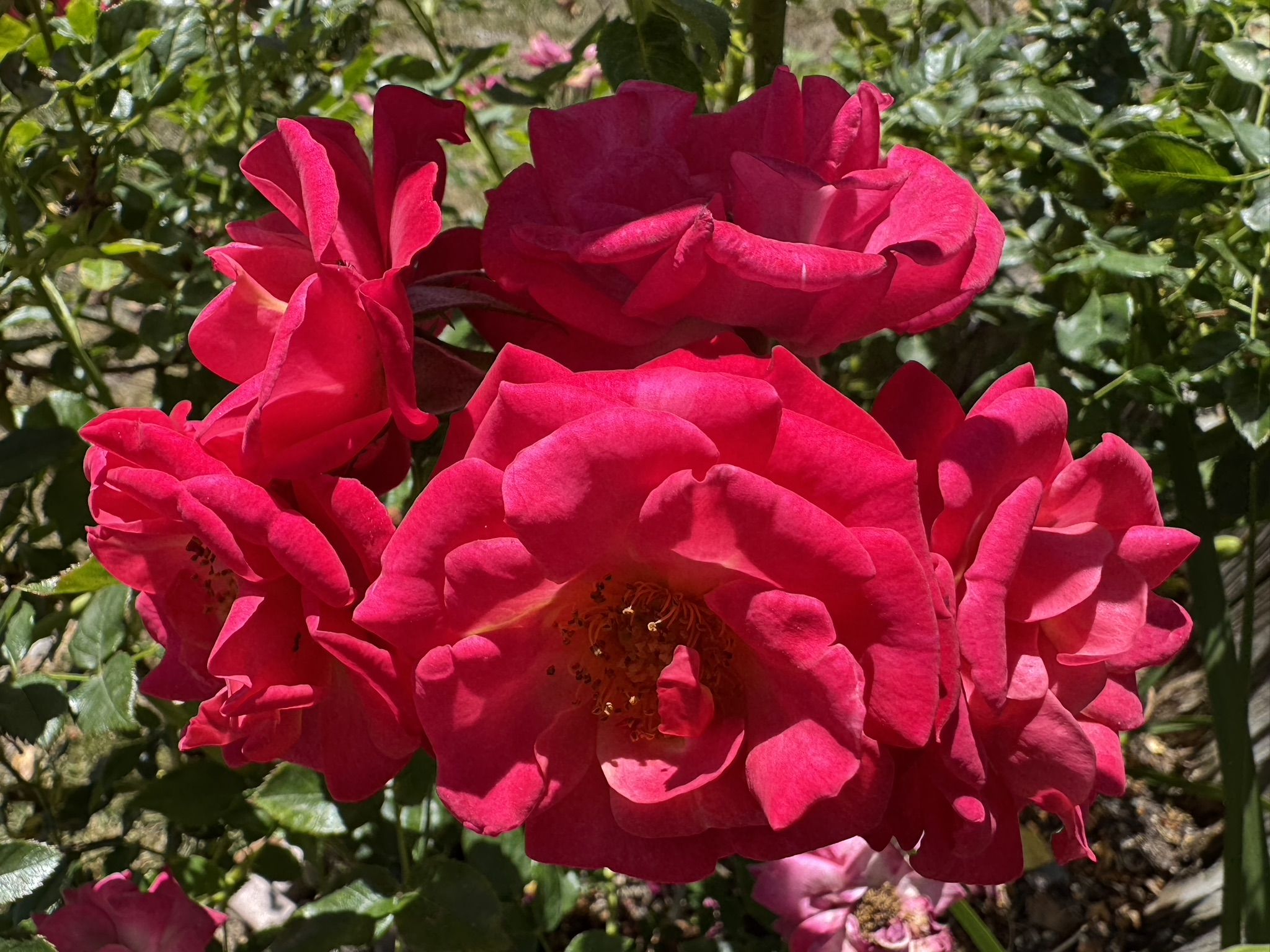  Photo 49