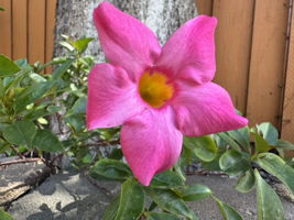  Photo 49