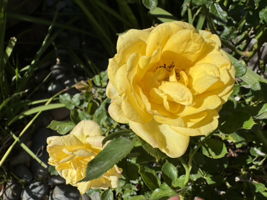  Photo 50