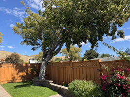  Photo 39