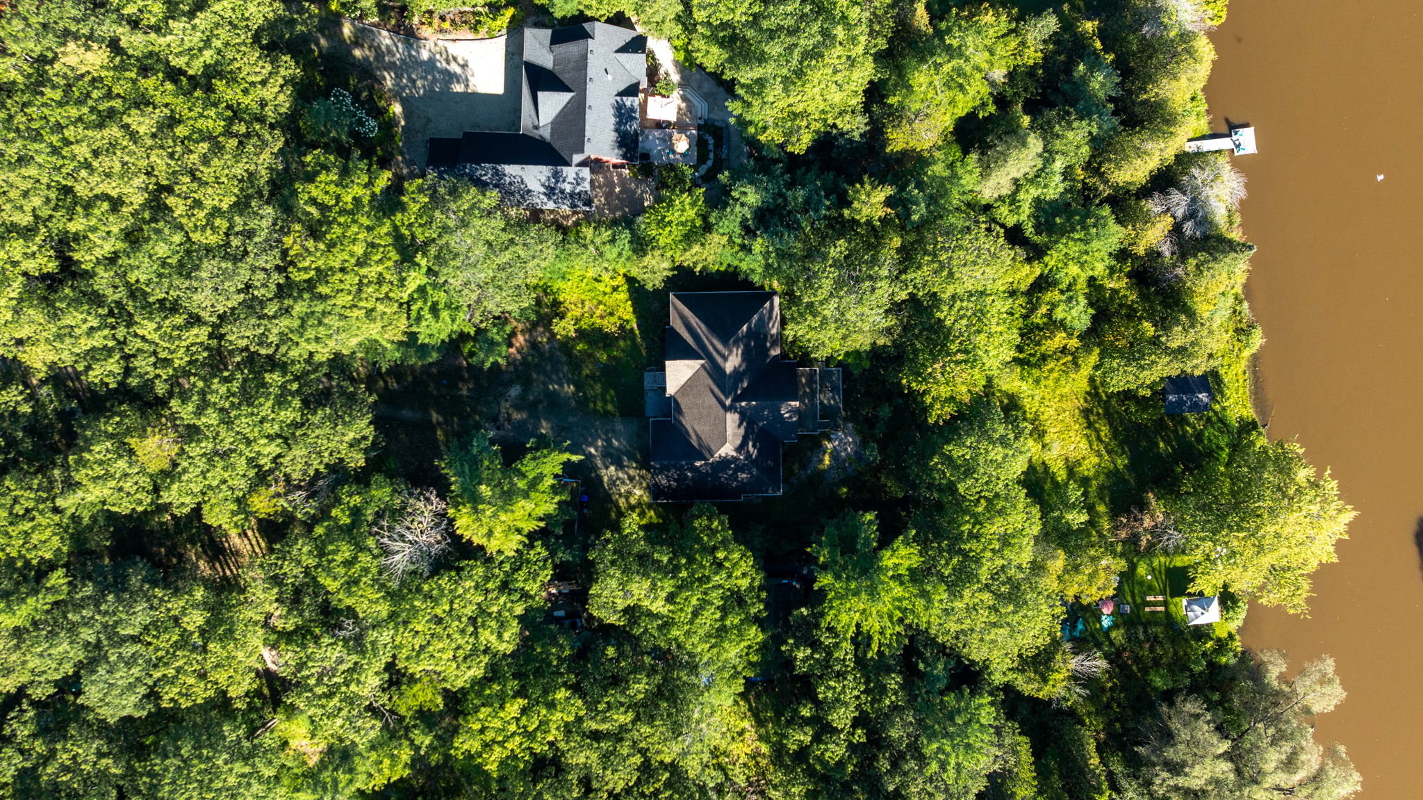  Photo 50