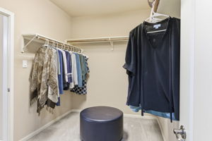 Primary Closet
