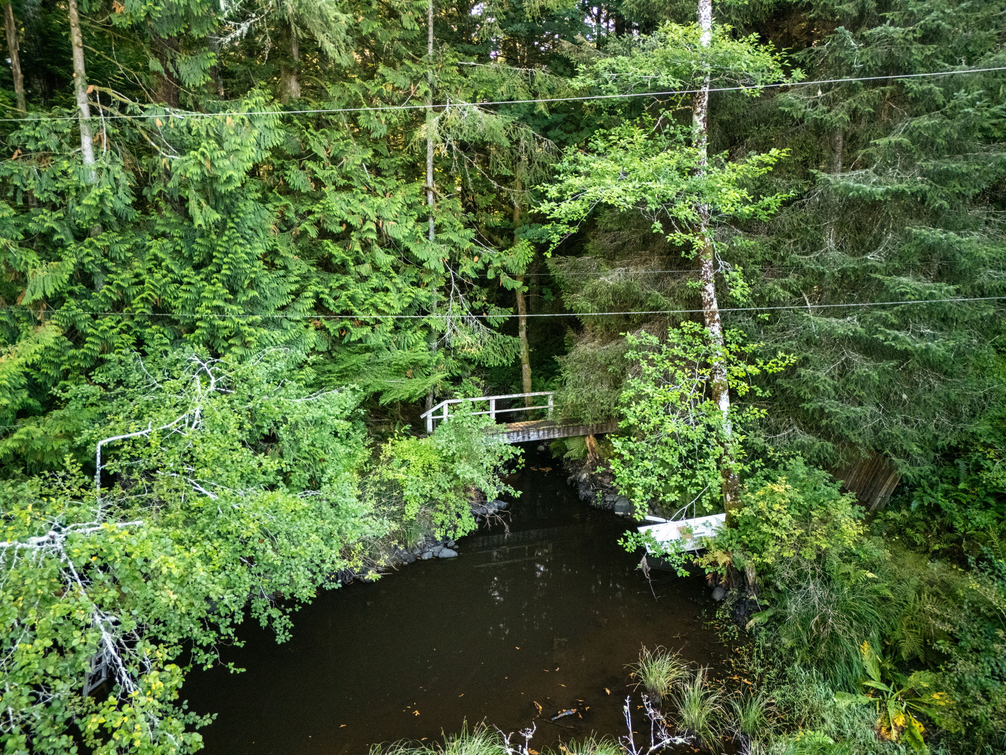 Bridge across the stream