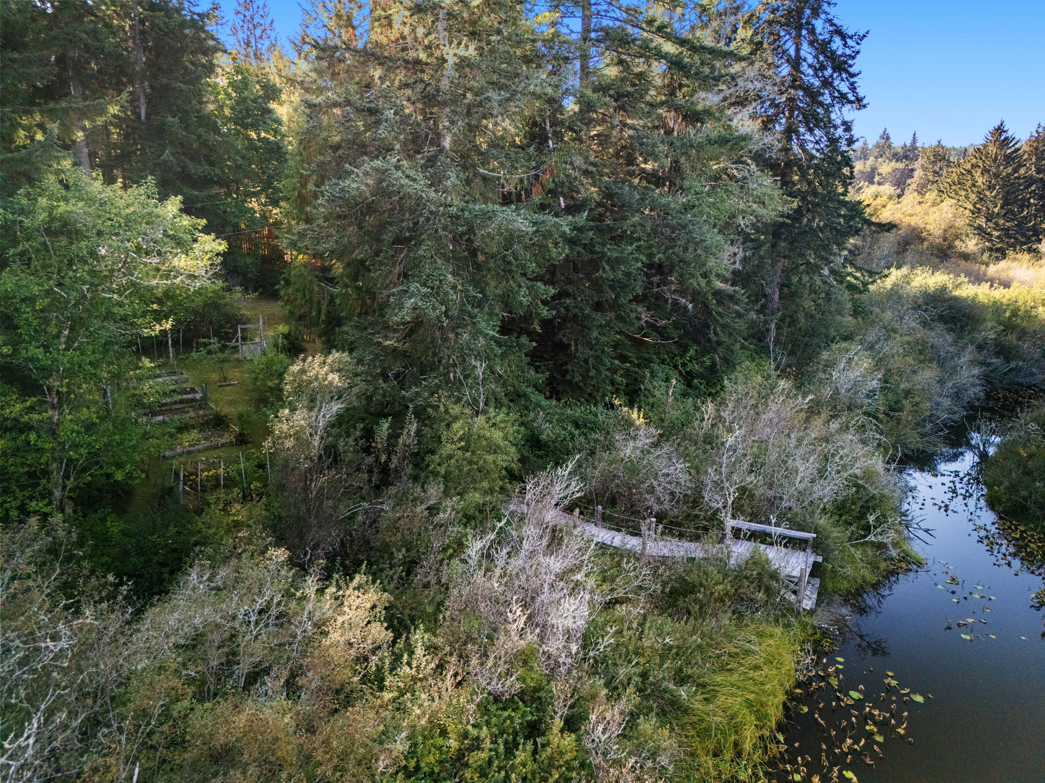 Lovely dock at the pond