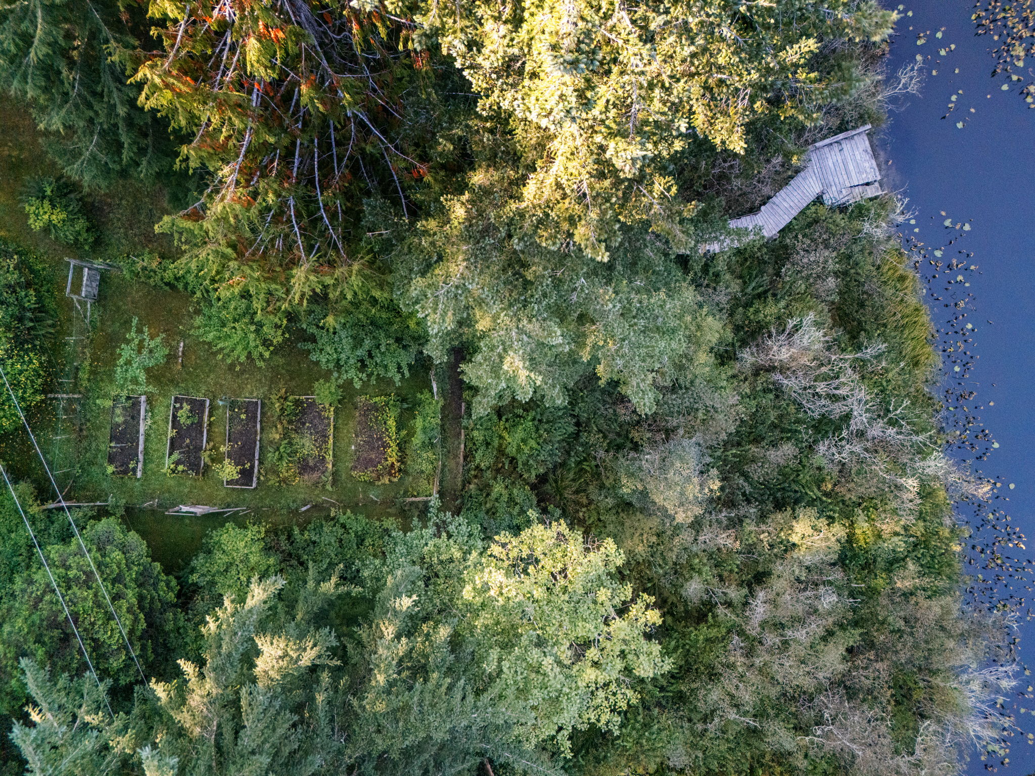 Overhead view of fenced gardens and dock on the pond