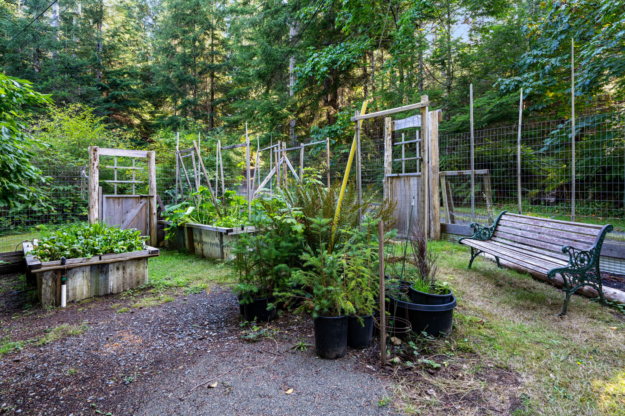 One of two fenced gardens