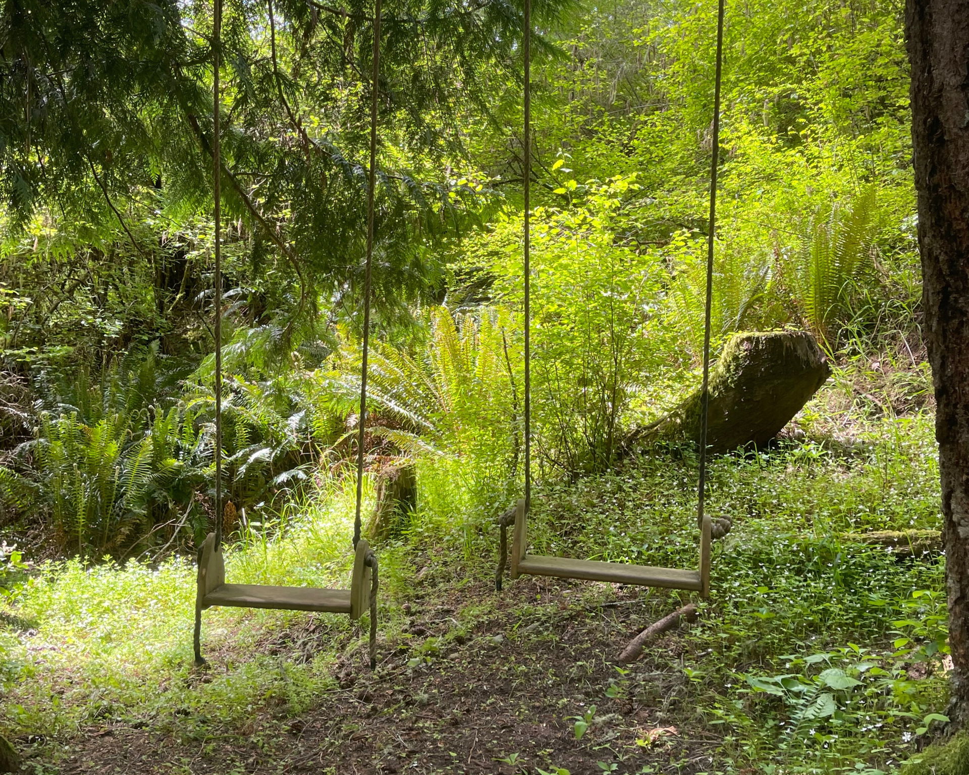 The Swings at Havenwood