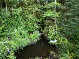Bridge across the stream