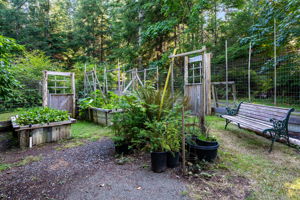 One of two fenced gardens