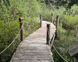 The Dock at Havenwood