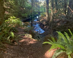 The Stream at Havenwood - Edited
