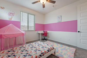  Photo 49