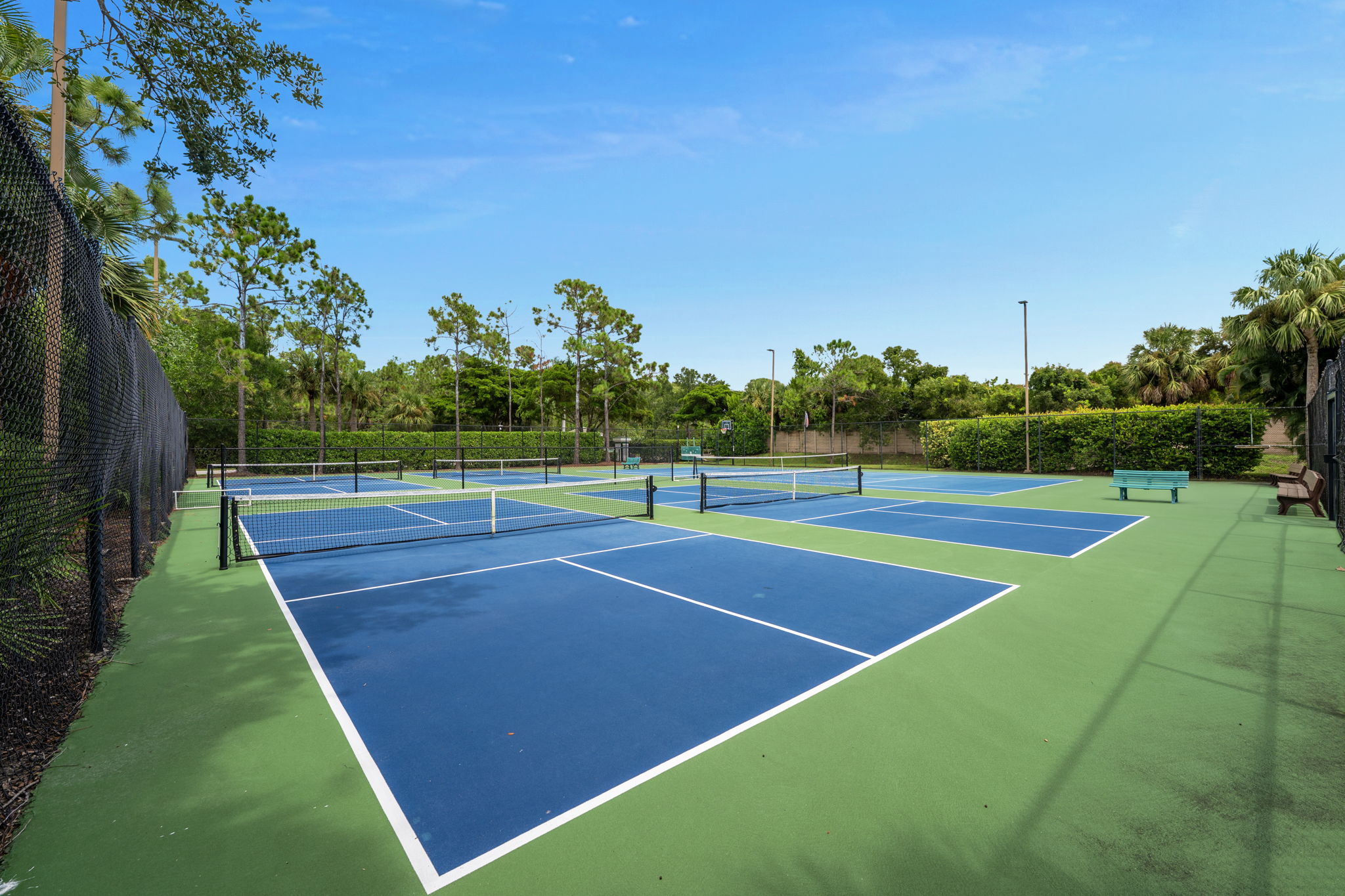 Pickleball - Tennis - Basketball