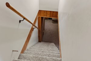  Photo 57
