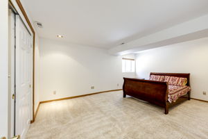 Basement Bedroom #5 which has a huge walk-in closet!