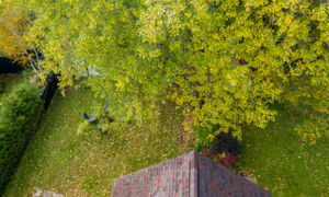  23 Fairy Ave, Huntsville, ON P1H 1G7, US Photo 23