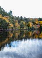  23 Fairy Ave, Huntsville, ON P1H 1G7, US Photo 9