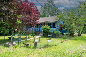  Photo 0