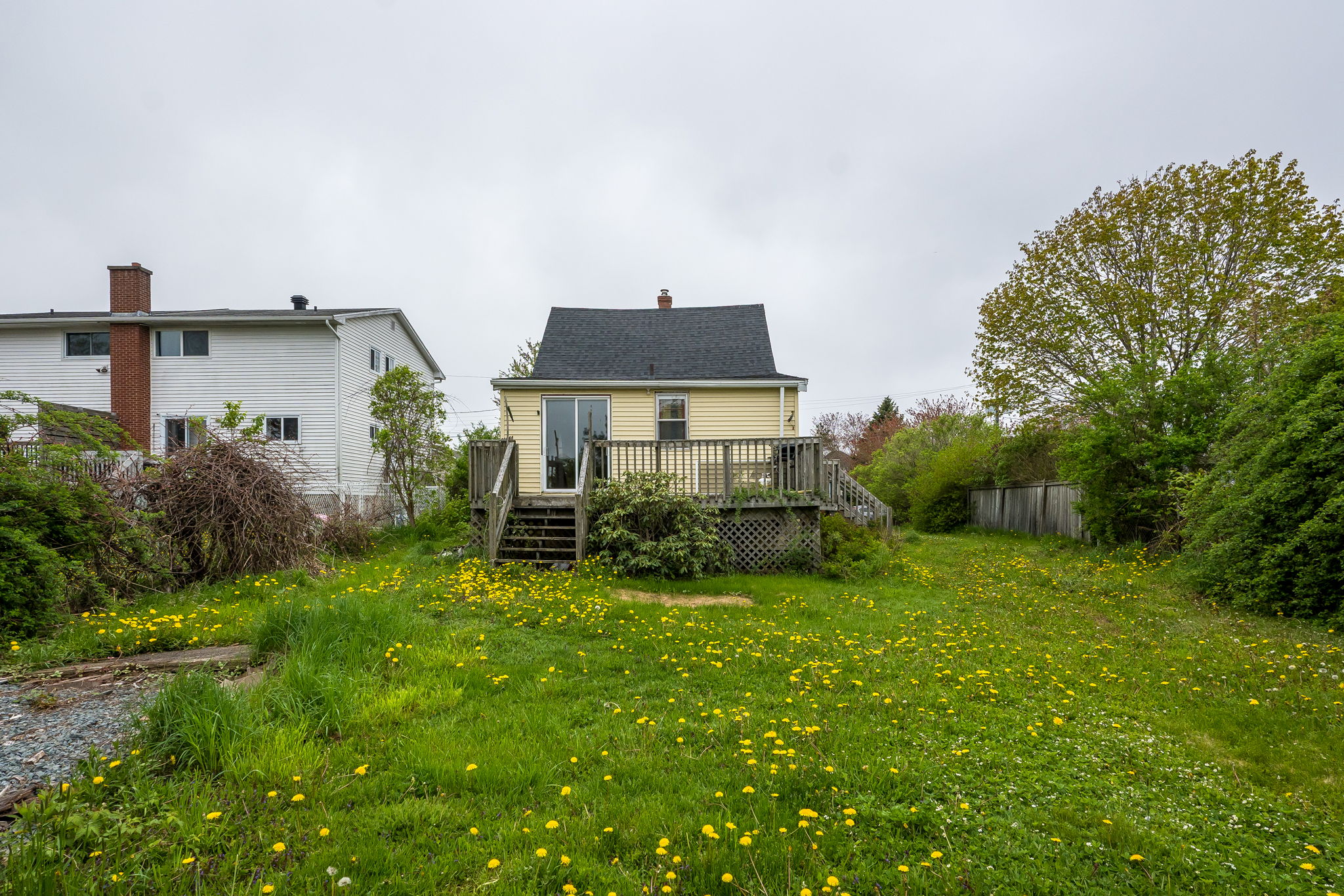  Photo 43