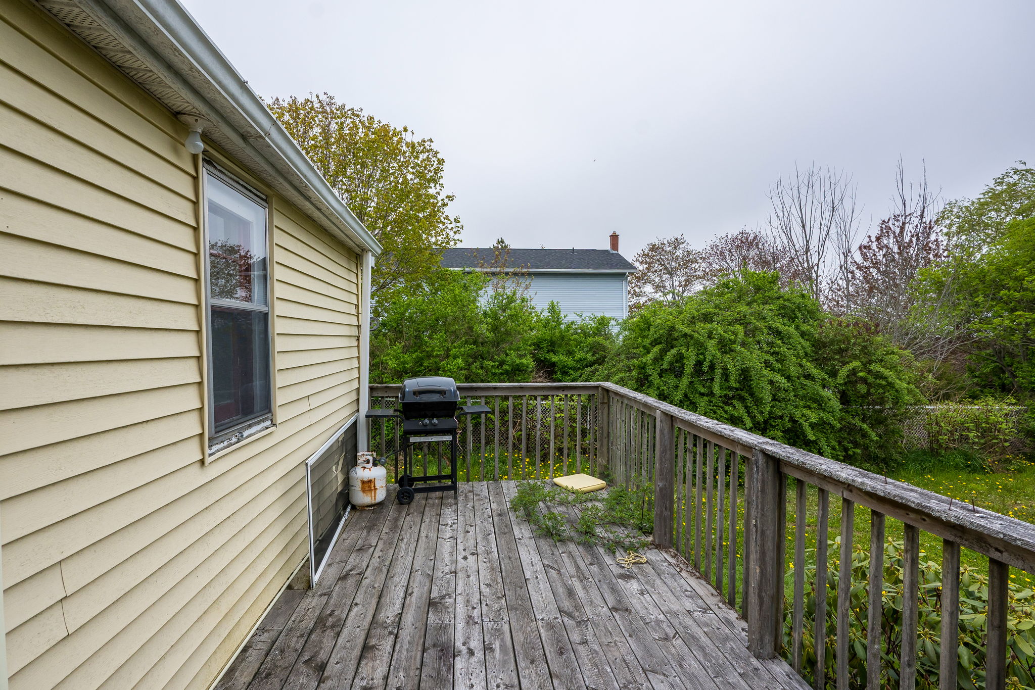  Photo 47