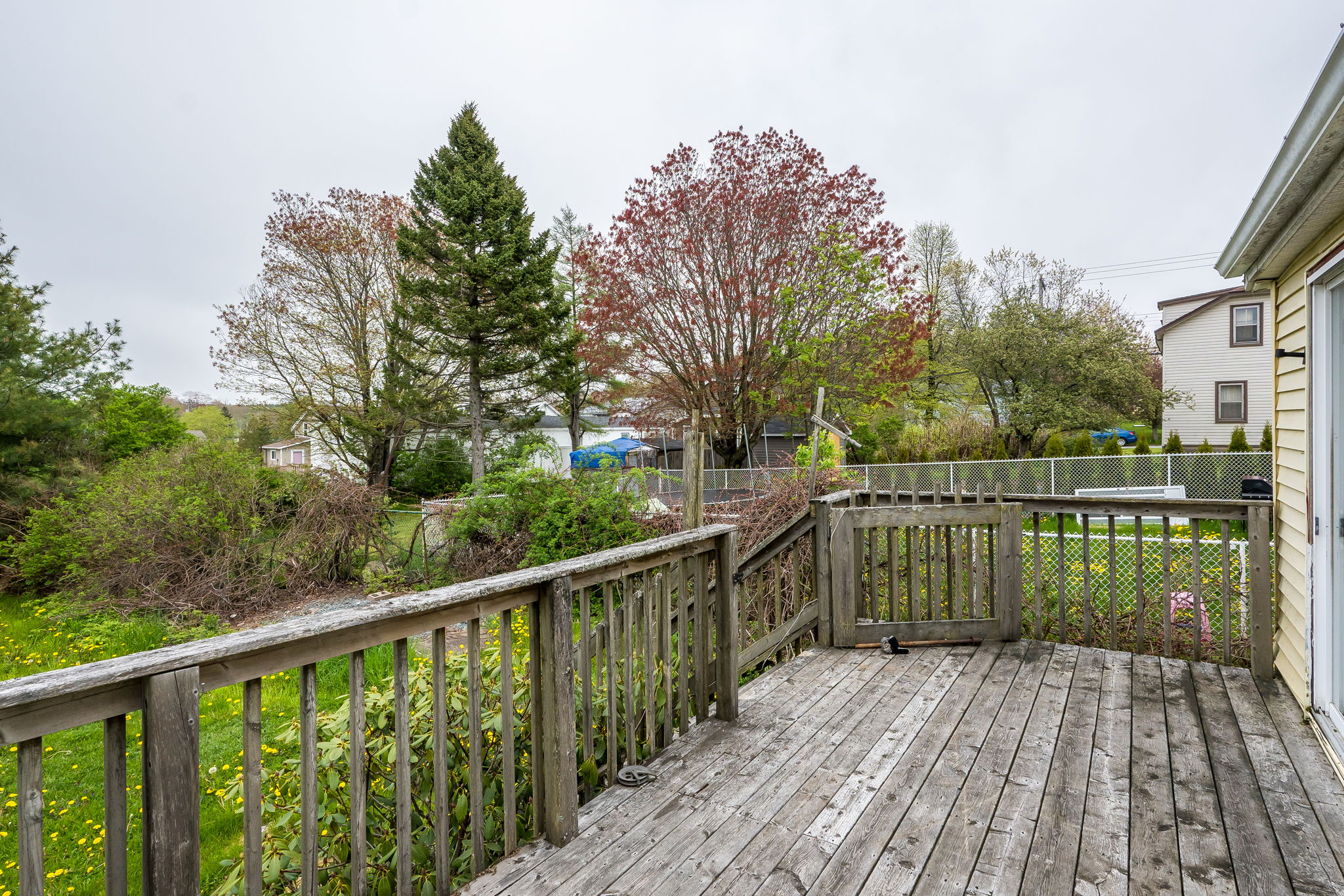  Photo 48