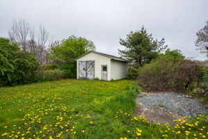  Photo 43