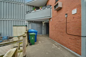  Photo 52